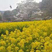 ヒメ日記 2026/03/30 08:47 投稿 みこと 奥様の実話 梅田店