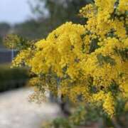 ヒメ日記 2026/03/31 09:19 投稿 みこと 奥様の実話 梅田店