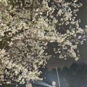 ヒメ日記 2026/04/01 08:56 投稿 みこと 奥様の実話 梅田店