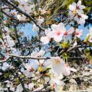 ヒメ日記 2026/04/05 07:47 投稿 みこと 奥様の実話 梅田店