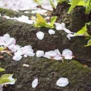 ヒメ日記 2026/04/08 08:59 投稿 みこと 奥様の実話 梅田店