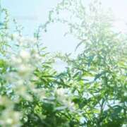 ヒメ日記 2026/04/12 10:03 投稿 みこと 奥様の実話 梅田店