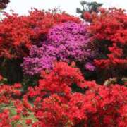 ヒメ日記 2026/04/13 09:00 投稿 みこと 奥様の実話 梅田店