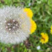 ヒメ日記 2026/04/14 10:28 投稿 みこと 奥様の実話 梅田店