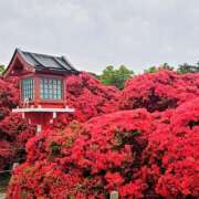 みこと おはようございます。みことです。 奥様の実話 梅田店
