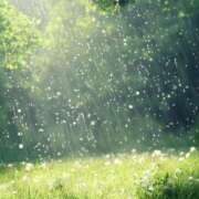 ヒメ日記 2026/04/30 09:13 投稿 みこと 奥様の実話 梅田店