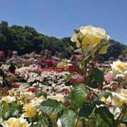 ヒメ日記 2026/05/17 21:33 投稿 みこと 奥様の実話 梅田店