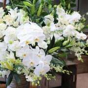 ヒメ日記 2026/05/18 11:25 投稿 みこと 奥様の実話 梅田店