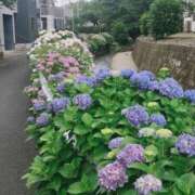 ヒメ日記 2026/06/04 09:28 投稿 みこと 奥様の実話 梅田店