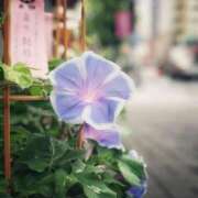 ヒメ日記 2026/07/19 10:05 投稿 みこと 奥様の実話 梅田店