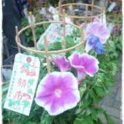 ヒメ日記 2026/08/06 09:08 投稿 みこと 奥様の実話 梅田店