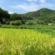 ヒメ日記 2026/08/09 08:37 投稿 みこと 奥様の実話 梅田店