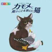 ヒメ日記 2026/08/10 09:31 投稿 みこと 奥様の実話 梅田店