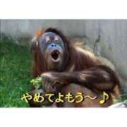 ヒメ日記 2026/02/04 17:17 投稿 えれな 桃色奥様 松戸本店