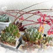 ヒメ日記 2025/04/30 11:40 投稿 のの 熟女の風俗最終章 蒲田店