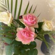 ヒメ日記 2025/12/29 12:30 投稿 のの 熟女の風俗最終章 蒲田店