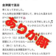ヒメ日記 2024/12/17 11:51 投稿 ノリカ ヴィーナス(金津園)