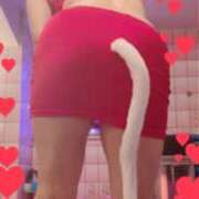 ヒメ日記 2024/12/21 10:06 投稿 ノリカ ヴィーナス(金津園)