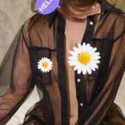 ヒメ日記 2025/02/20 23:27 投稿 ノリカ ヴィーナス(金津園)