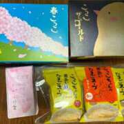 ヒメ日記 2025/04/02 10:33 投稿 ノリカ ヴィーナス(金津園)