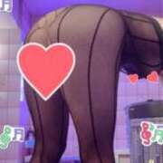 ヒメ日記 2025/04/05 23:18 投稿 ノリカ ヴィーナス(金津園)