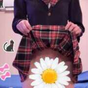 ヒメ日記 2025/04/12 23:27 投稿 ノリカ ヴィーナス(金津園)