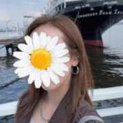 ヒメ日記 2025/06/29 16:06 投稿 ノリカ ヴィーナス(金津園)