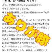 ノリカ 【お礼写メ日記】 ヴィーナス(金津園)