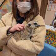 ヒメ日記 2026/01/25 22:45 投稿 ノリカ ヴィーナス(金津園)