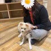 ヒメ日記 2026/02/23 17:57 投稿 ノリカ ヴィーナス(金津園)