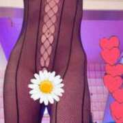 ノリカ こんにちは ヴィーナス(金津園)