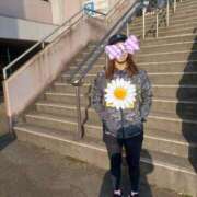 ヒメ日記 2026/03/15 13:48 投稿 ノリカ ヴィーナス(金津園)