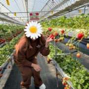 ヒメ日記 2026/03/17 17:33 投稿 ノリカ ヴィーナス(金津園)