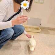 ヒメ日記 2026/10/26 07:51 投稿 ノリカ ヴィーナス(金津園)