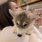 ノリカ ありがとう ヴィーナス(金津園)
