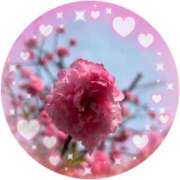 りんか 出勤しました 丸妻 横浜本店