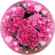 りんか 出勤しました 丸妻 横浜本店