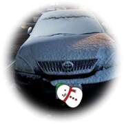 ヒメ日記 2025/02/08 06:06 投稿 みゆき クレイジーホース