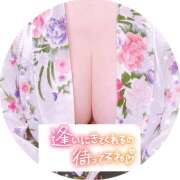 ヒメ日記 2026/07/12 05:20 投稿 みゆき クレイジーホース