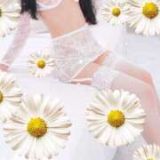 ヒメ日記 2025/10/08 11:09 投稿 あお 即クンニ＆顔面騎乗専門店「五反田C-スタイル」