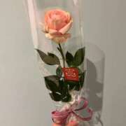 ヒメ日記 2025/01/08 12:31 投稿 もえか 池袋巨乳風俗戦隊ぱいおつレンジャー