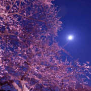 ヒメ日記 2025/05/08 04:48 投稿 ともか モアグループ 土浦人妻花壇