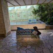 ともか こんにちは モアグループ 土浦人妻花壇