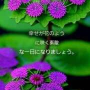 ヒメ日記 2025/06/19 13:17 投稿 小梅-こうめ【FG系列】 ほんとうの人妻 厚木店【FG系列】