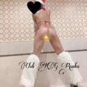 ヒメ日記 2025/11/12 12:23 投稿 れんか クラブKG