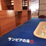 ヒメ日記 2025/02/21 16:47 投稿 かすみ 仙台人妻セレブリティー