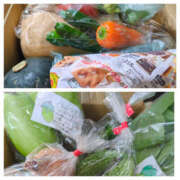 ヒメ日記 2025/04/11 17:35 投稿 かすみ 仙台人妻セレブリティー