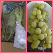 ヒメ日記 2025/10/29 10:57 投稿 かすみ 仙台人妻セレブリティー