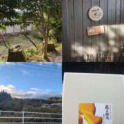 ヒメ日記 2025/11/03 12:30 投稿 かすみ 仙台人妻セレブリティー