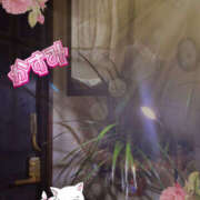 ヒメ日記 2025/11/09 11:49 投稿 かすみ 仙台人妻セレブリティー